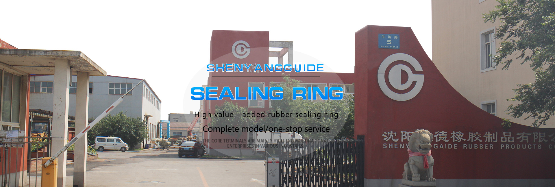 Silicone seal ring